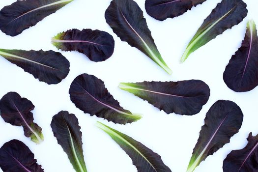 Red Cos Lettuce leaves on white background.