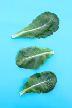 Lettuce leaves on blue background. Top view