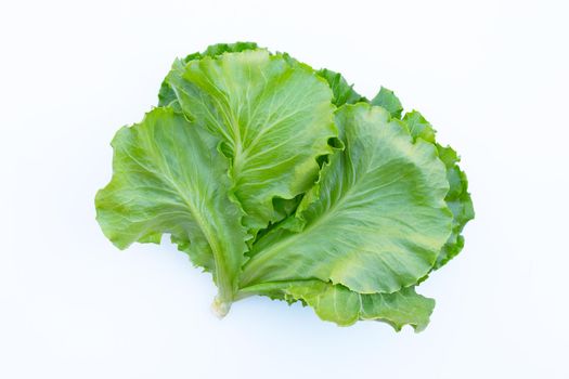 Lettuce on white background. Top view