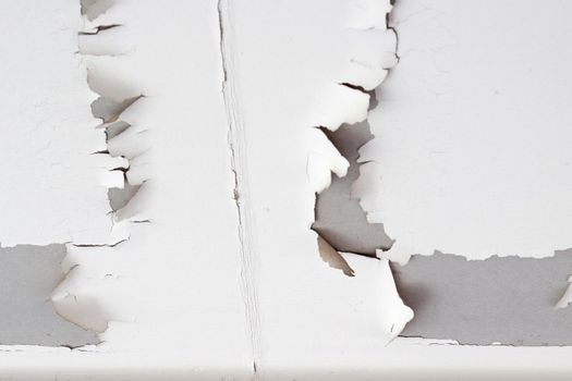 White color paint peeling off on ceiling house. Under the roof
