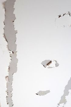 White color paint peeling off on ceiling house. Under the roof