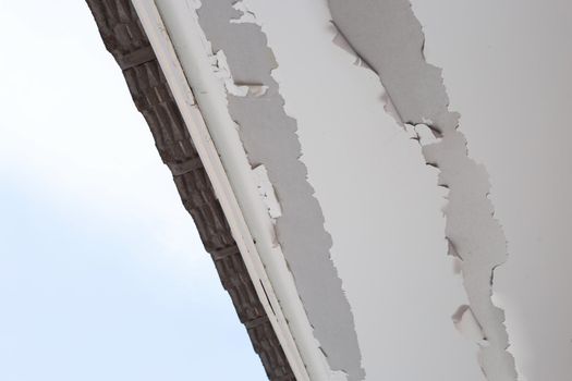 White color paint peeling off on ceiling house. Under the roof