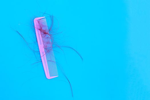 Hairs loss fall in comb on blue background.