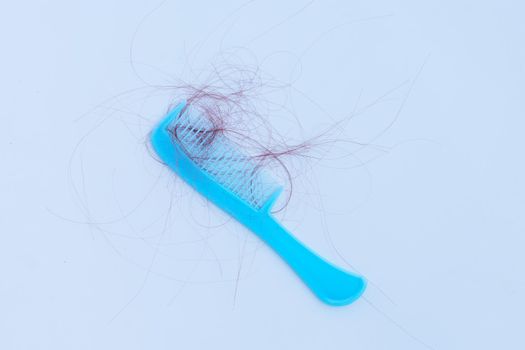 Hairs loss fall in comb on white background.