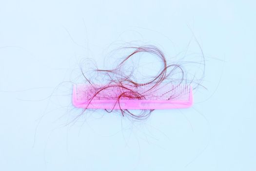 Hairs loss fall in comb on white background.