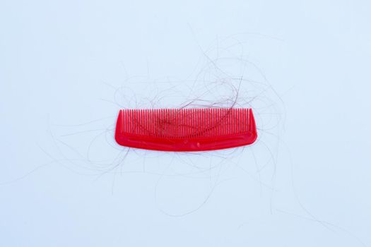 Hairs loss fall in comb on white background.