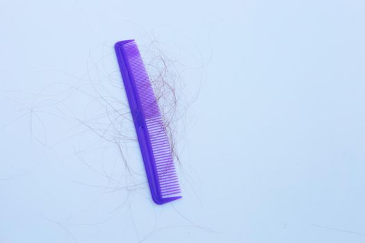 Hairs loss fall in comb on white background.
