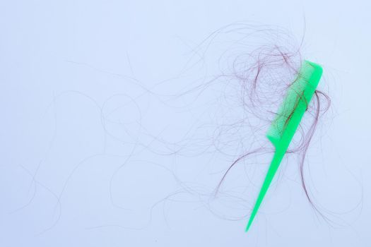 Hairs loss fall in comb on white background.
