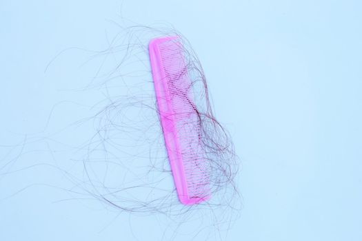 Hairs loss fall in comb on white background.