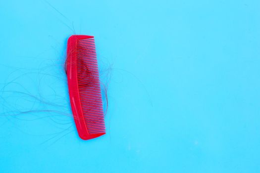Hairs loss fall in comb on blue background.