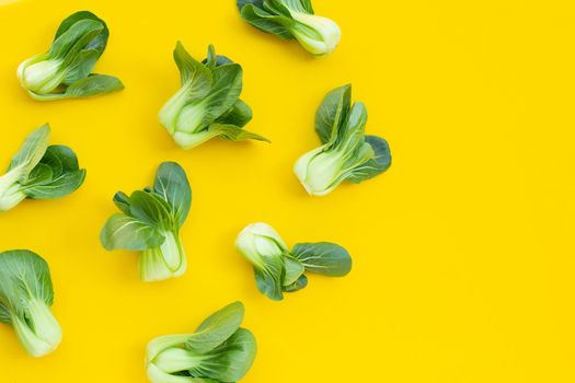 Bok choy on yellow background.