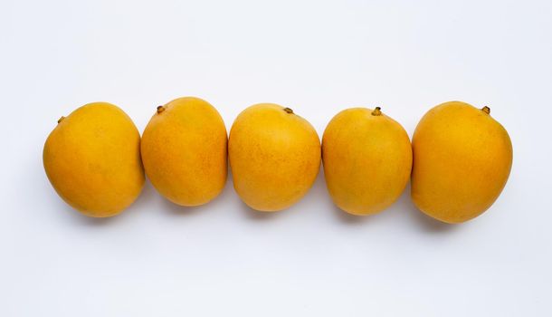 Tropical fruit, Mango  on white background. Top view
