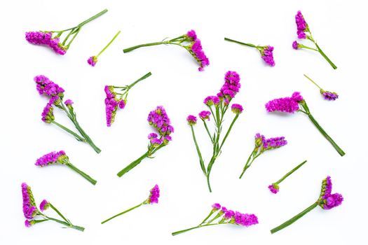 Static flowers on white background. 