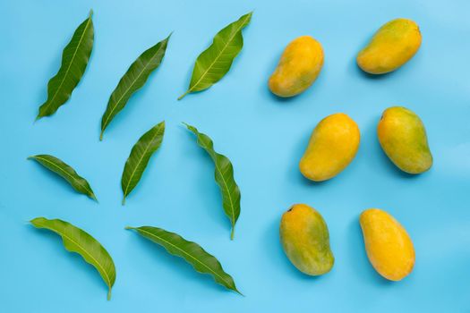 Tropical fruit, Mango with leaves on white background. Top view