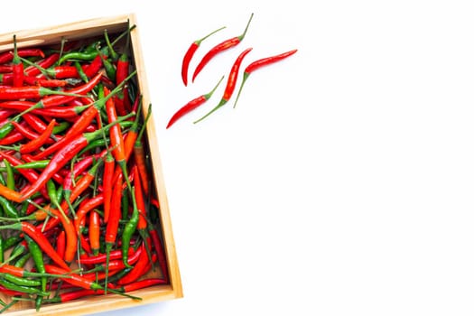 Hot chili peppers on white background. Top view