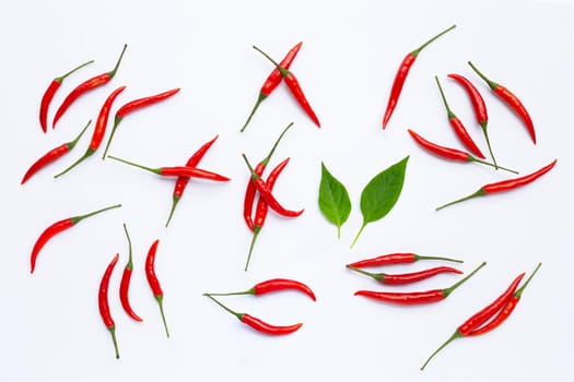 Hot chili peppers on white background. Top view