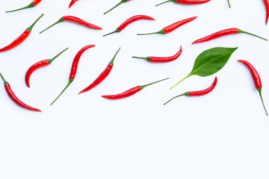 Hot chili peppers on white background. Top view