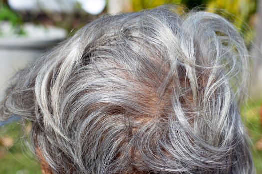 white hair of senior woman