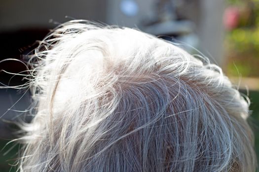 white hair of senior woman