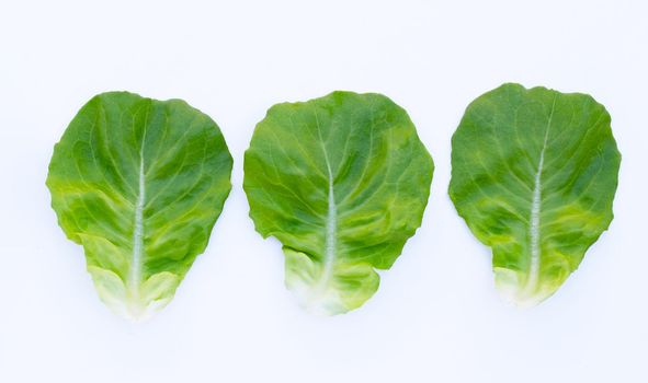 Lettuce leaves on white background.