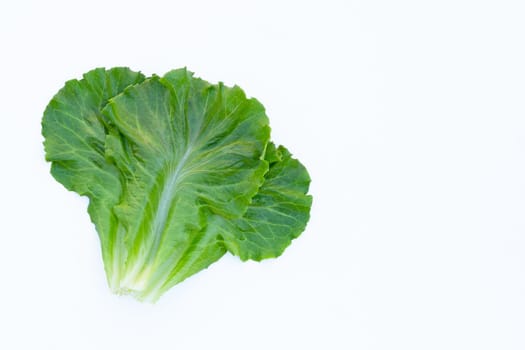 Lettuce leaves on white background. Top view