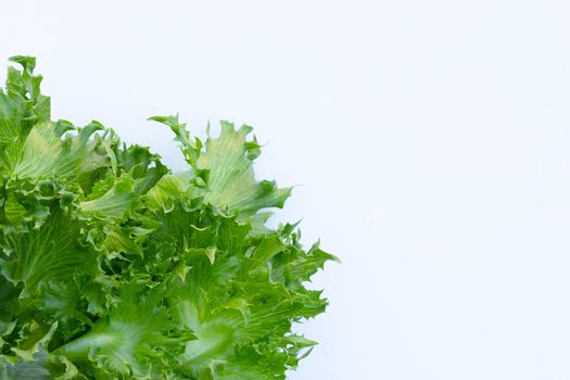 Fresh frillice iceberg lettuce on white background.