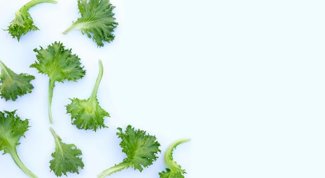 Fresh frillice iceberg lettuce on white background.