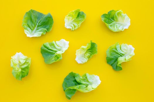 Lettuce leaves on yellow background. Top view