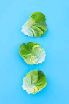 Lettuce leaves on blue background. Top view
