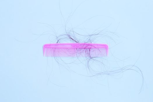 Hairs loss fall in comb on white background.
