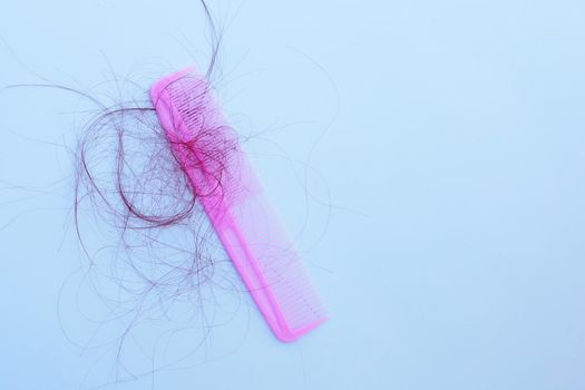 Hairs loss fall in comb on white background.