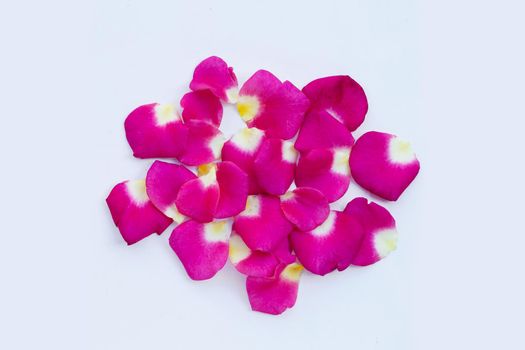 Rose petals isolated on white background.
