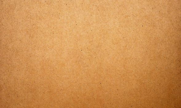 Sheet of brown paper or cardboard texture for background.