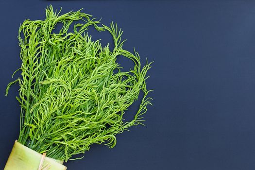 Climbing Wattle or Acacia leaves on dark backgrond.