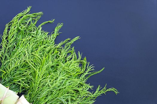 Climbing Wattle or Acacia leaves on dark background.