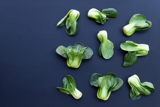 Bok choy on dark background. Copy space