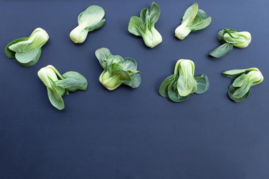 Bok choy on dark background.