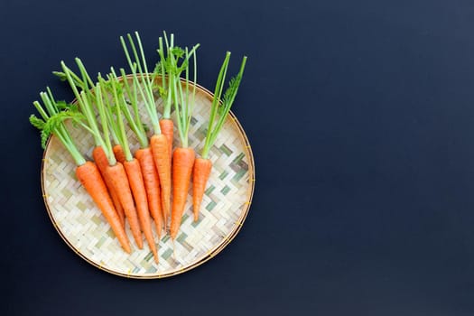 Fresh carrots on dark background.