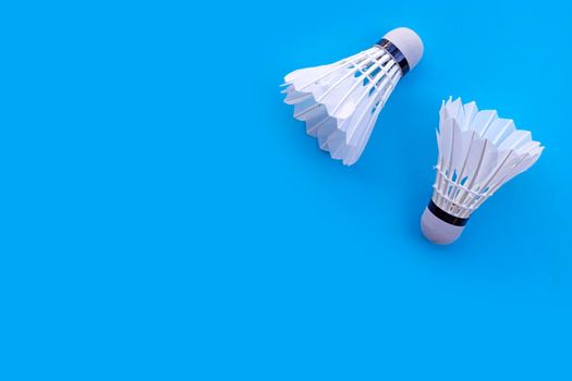 Shuttlecock or badminton balls on blue background.