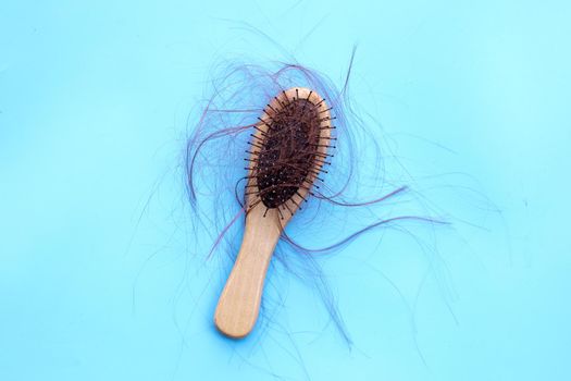 Hairs loss fall in comb on blue background.