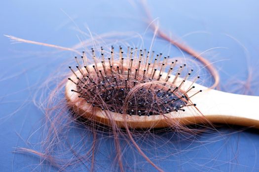 Hairs loss fall in comb on dark background.