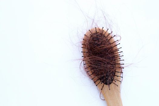 Hairs loss fall in comb on white background.