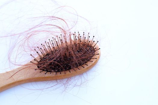 Hairs loss fall in comb on white background.