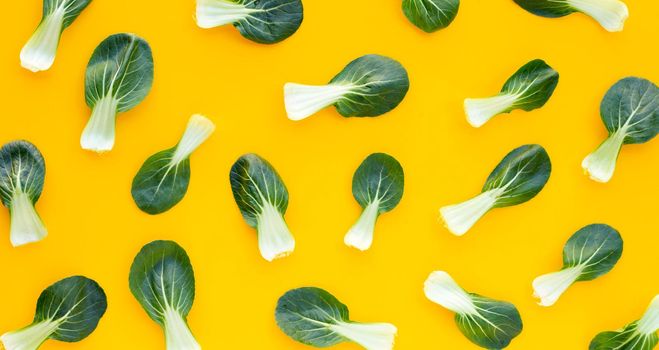 Bok choy on yellow background.