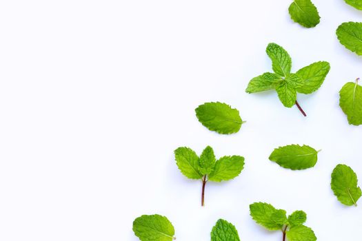 Fresh mint leaves isolated on white background. Copy space