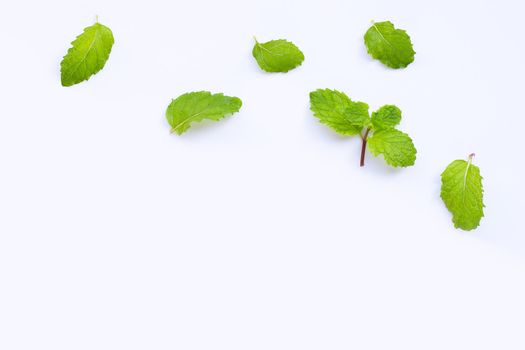 Fresh mint leaves isolated on white background. Copy space