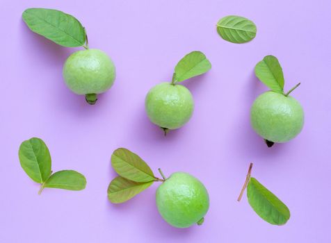 Top view of fresh ripe guava with leaves on pink background.