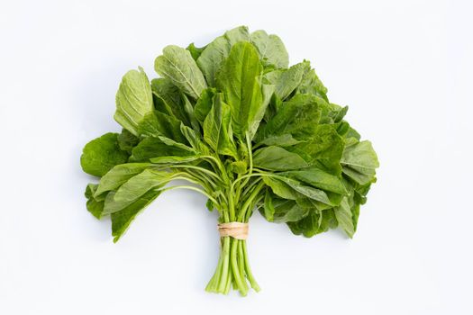 Green Thai spinach on white background.