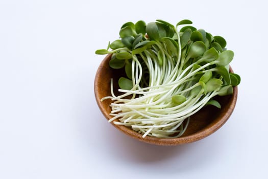  Sunflower Sprout  in wooden bowl on white background.