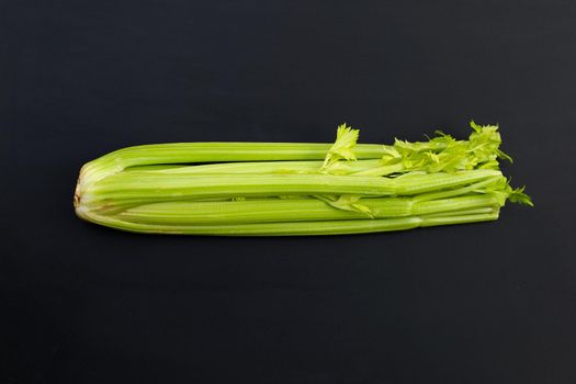Fresh celery on dark background.